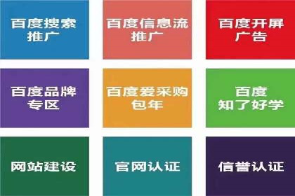 专业SEM托管：企业广告投放的明智之选